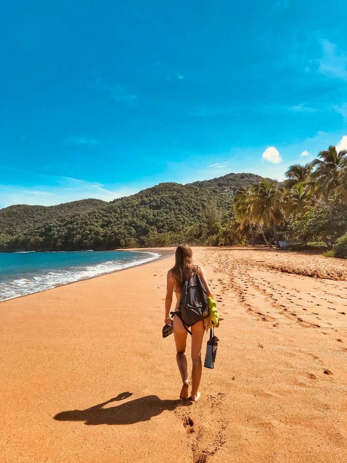 Cottage La Pointe Marine デエエ エクステリア 写真